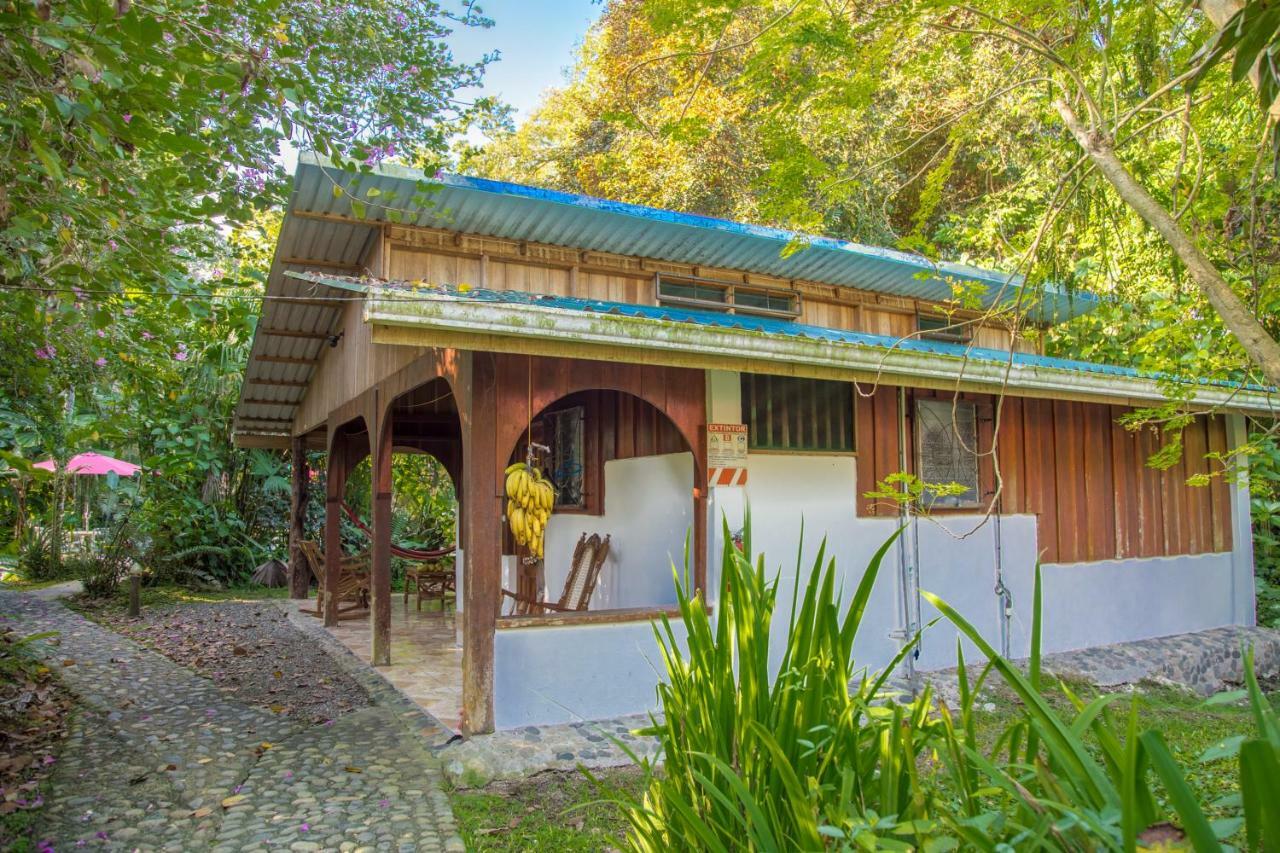 Cabinas Iguana Cahuita Bagian luar foto